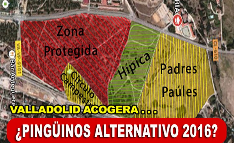 Valladolid acogerá... ¿Pingüinos Alternativo 2016?