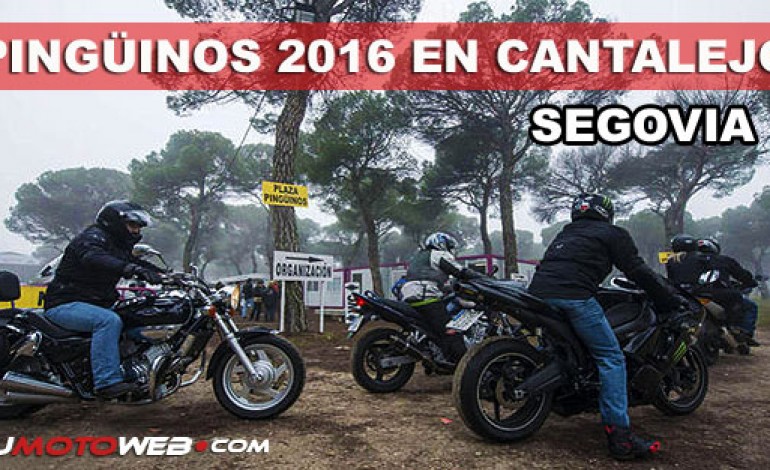 La Concentración Invernal Pingüinos 2016, cambia de nombre y provincia..!!