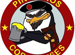 Pingüinos Cordobeses